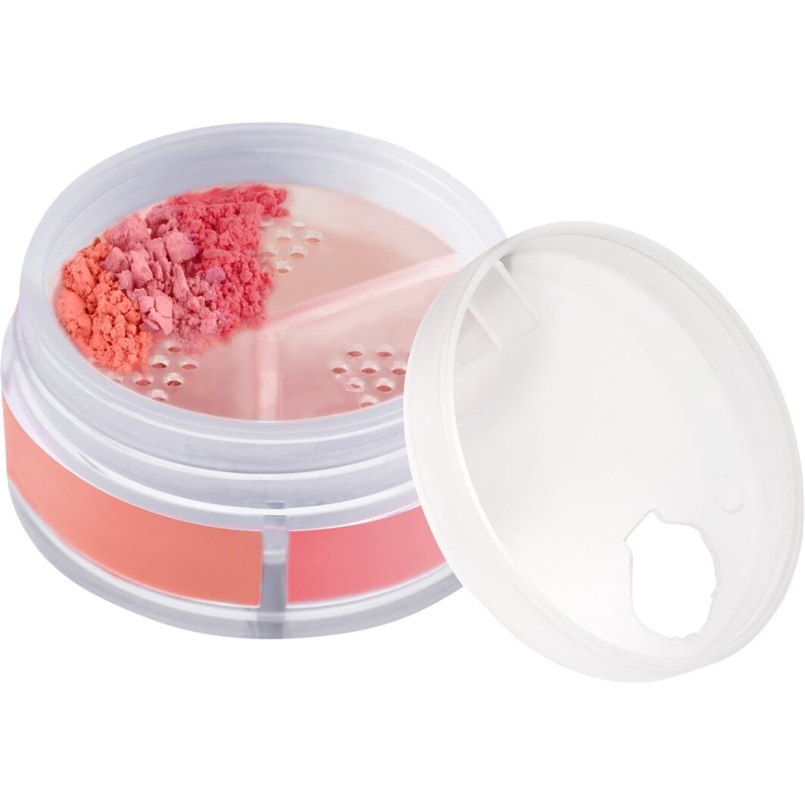 Disney Pixar Finding Dory Loose Powder Blush von Catrice