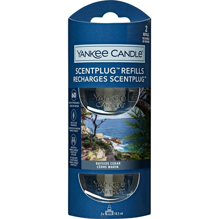 Duftstecker Diffusor Scentplug Refill Bayside Cedar von Yankee Candle
