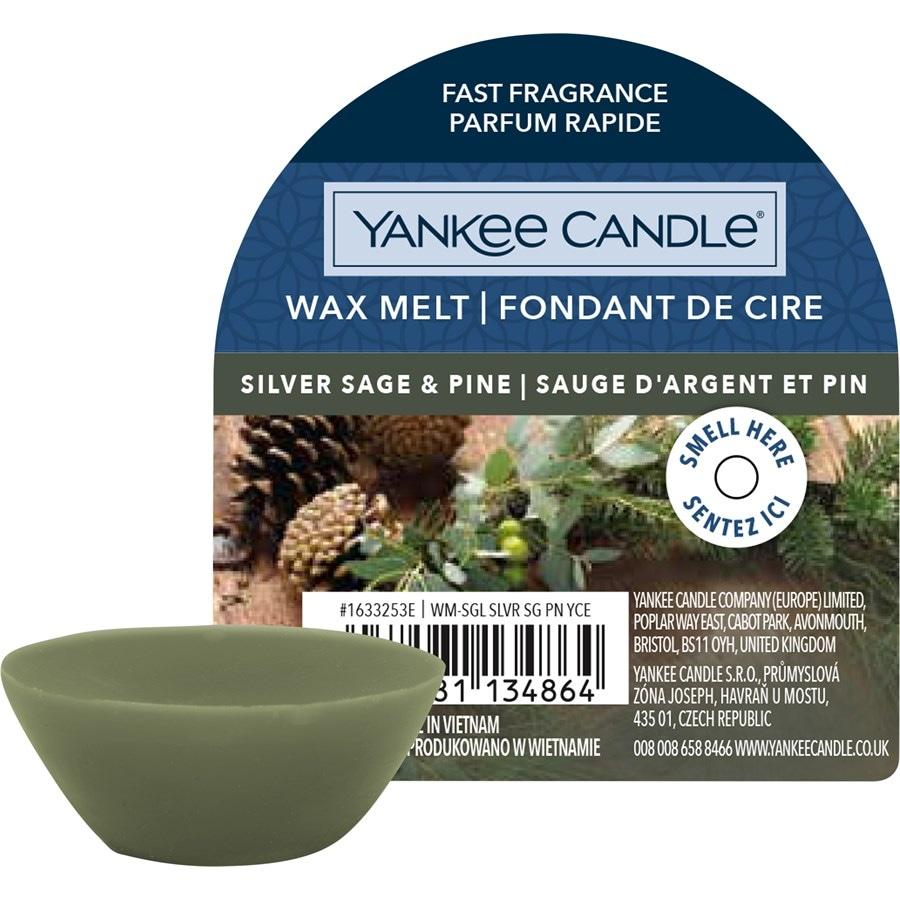 Duftwachs Silver Sage & Pine von Yankee Candle