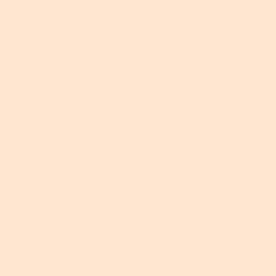 Foundation Pro'fusion Fluid Foundation Von Zao