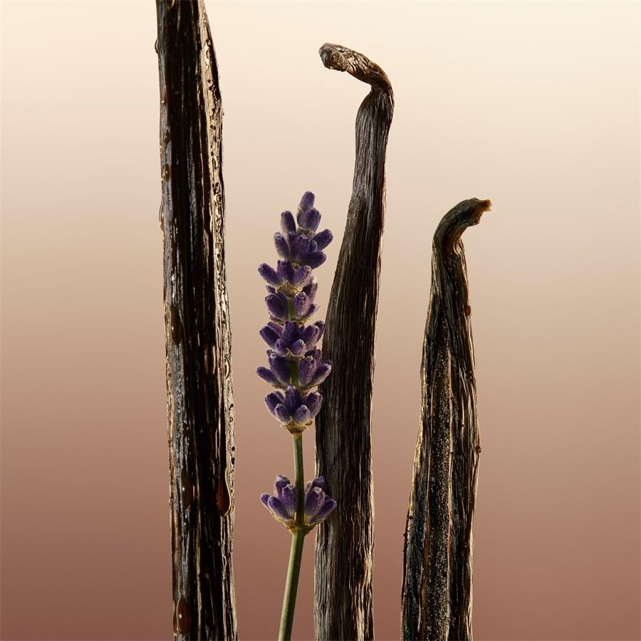 Goddess Eau De Parfum Spray Von Burberry