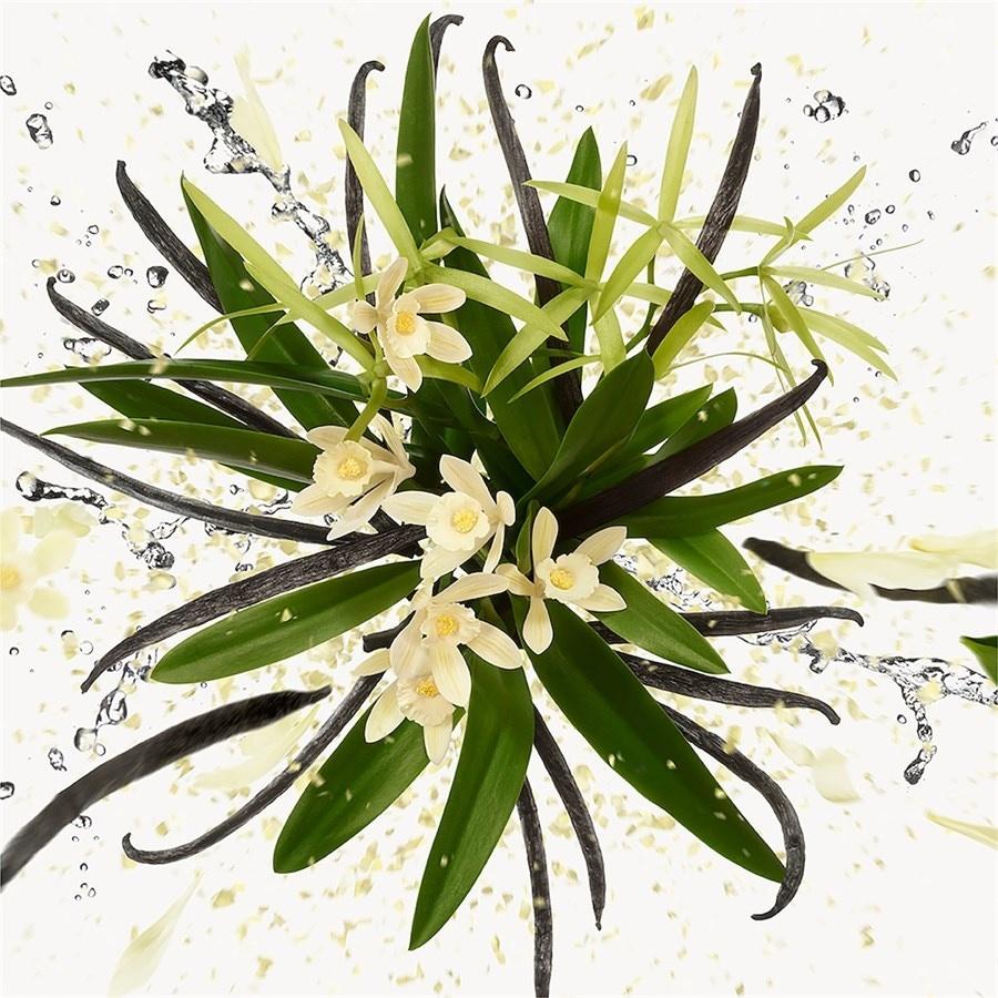 Gucci Flora Eau De Parfum Spray (Nachfüllbar) Gorgeous Orchid Von Gucci