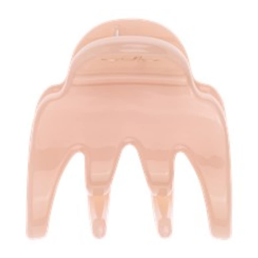 Haarklammern Clipstar Set Gym Buddy Von Invisibobble