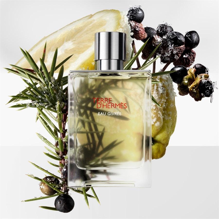 Hermès Terre D'Hermès Eau Givrée Eau De Parfum Spray
