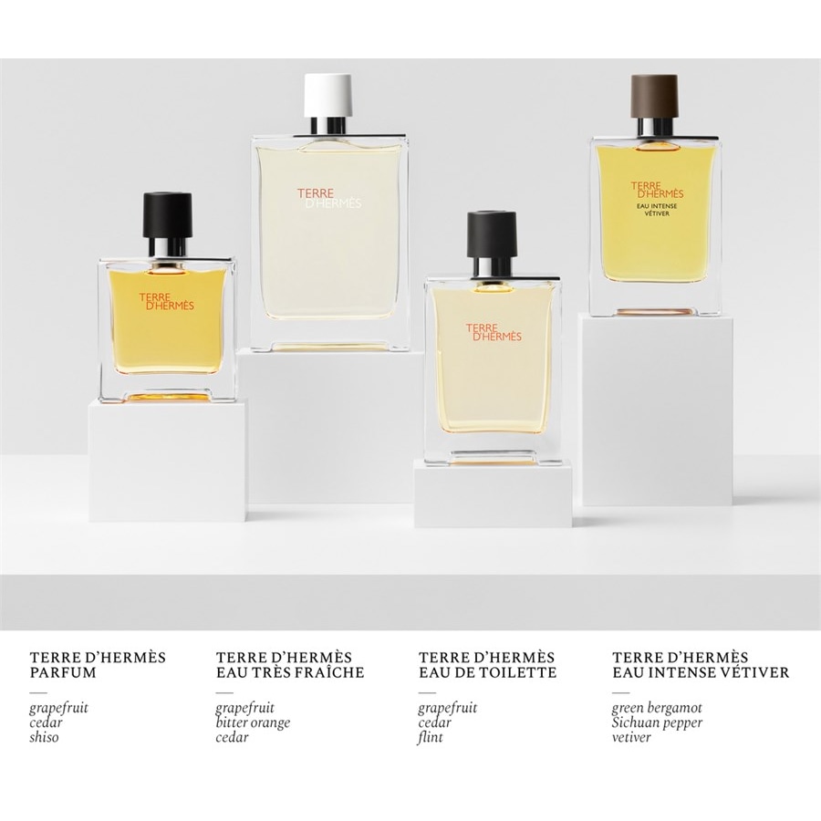 Hermès Terre D'Hermès Eau Intense Vetiver Eau De Parfum Spray