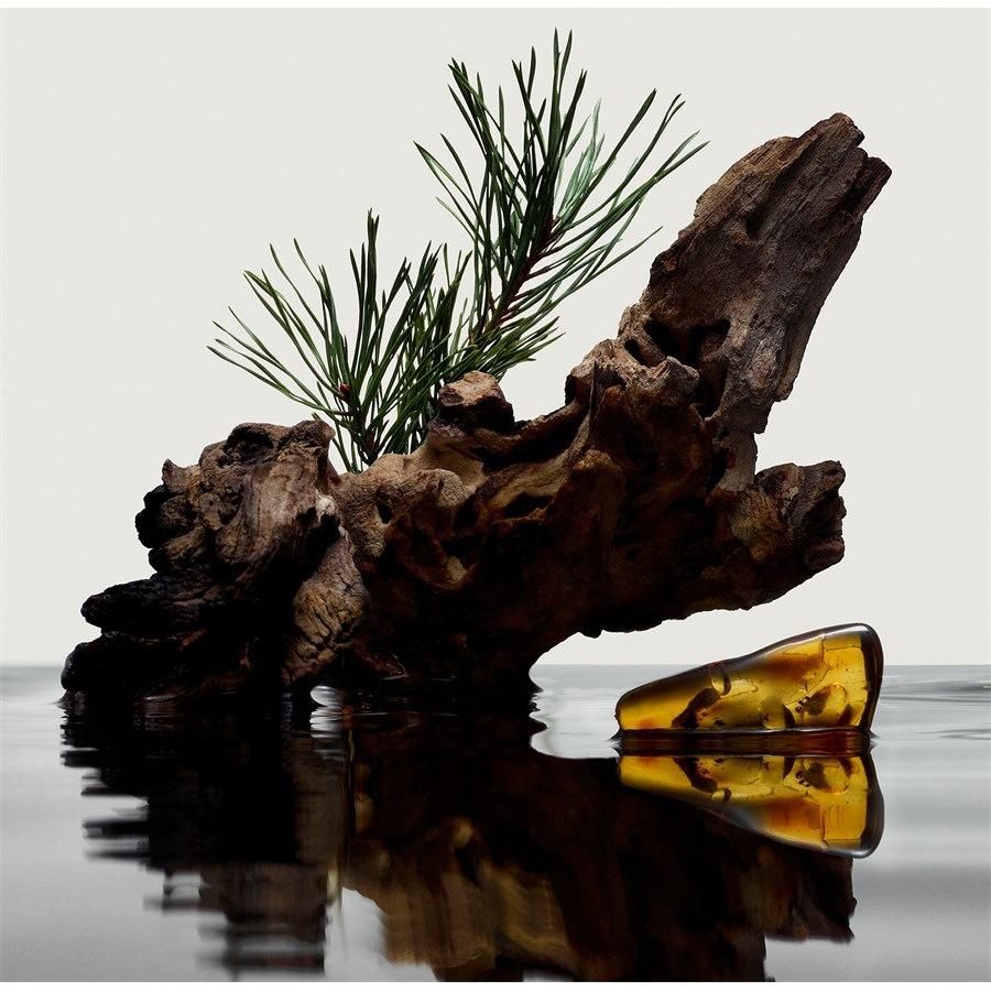 Hero Eau De Parfum Spray Von Burberry