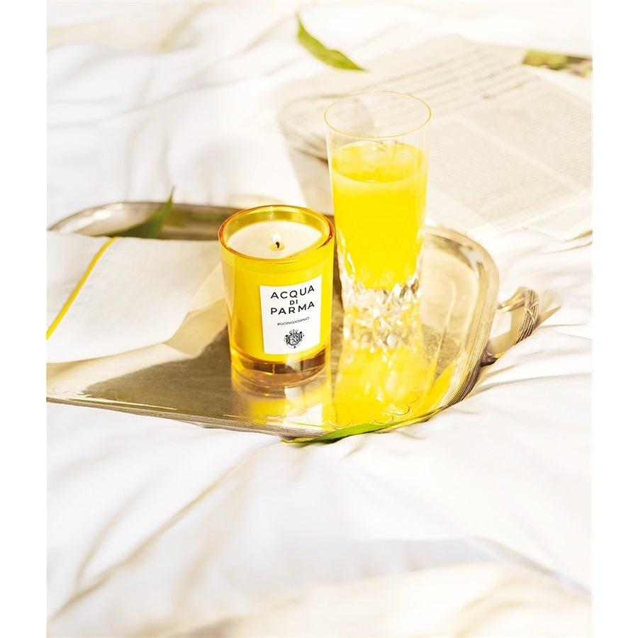Home Collection Buongiorno Scented Candle Von Acqua Di Parma