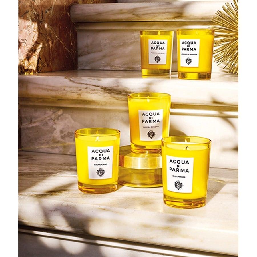 Home Collection Buongiorno Scented Candle Von Acqua Di Parma