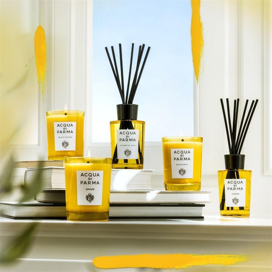 Home Collection Diffusor La Casa Sul Lago Von Acqua Di Parma