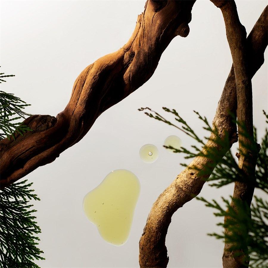 Homme Collection Foaming Shower Gel Von RITUALS