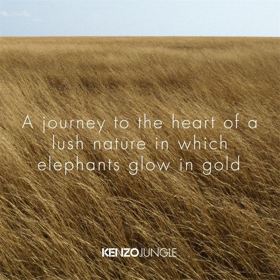 KENZO JUNGLE Eau De Parfum Spray Von KENZO