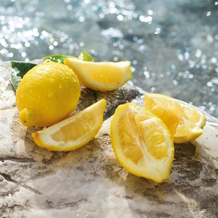 Light Blue Eau De Toilette Spray Von Dolce&Gabbana