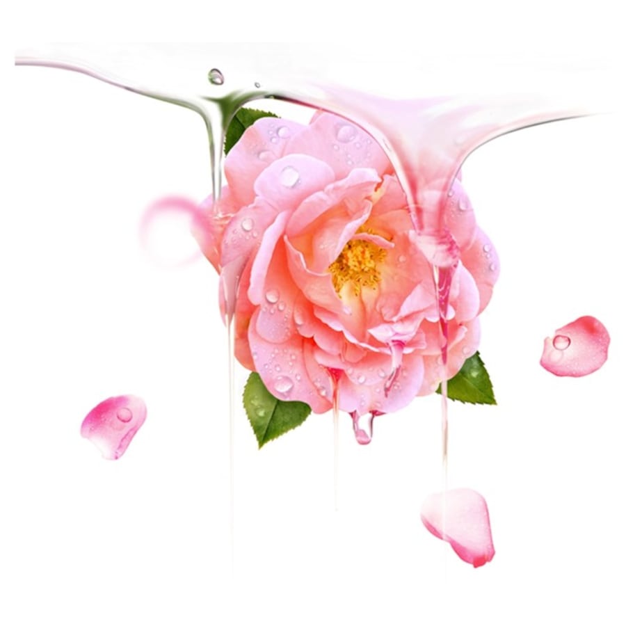 Maskenbehandlung UFO Mask Bulgarian Rose Von Foreo