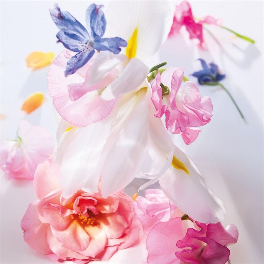 Miss Dior Roller-Pearl Eau De Parfum Von DIOR
