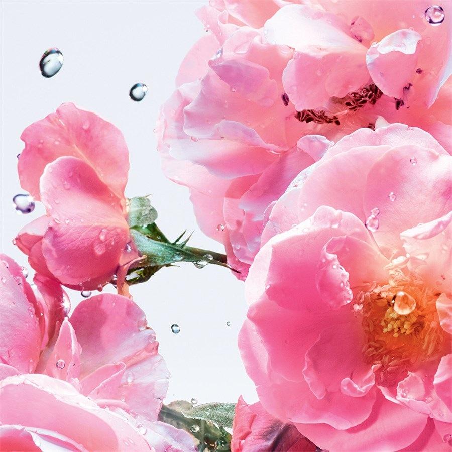 Miss Dior Roller-Pearl Rose N Roses Von DIOR