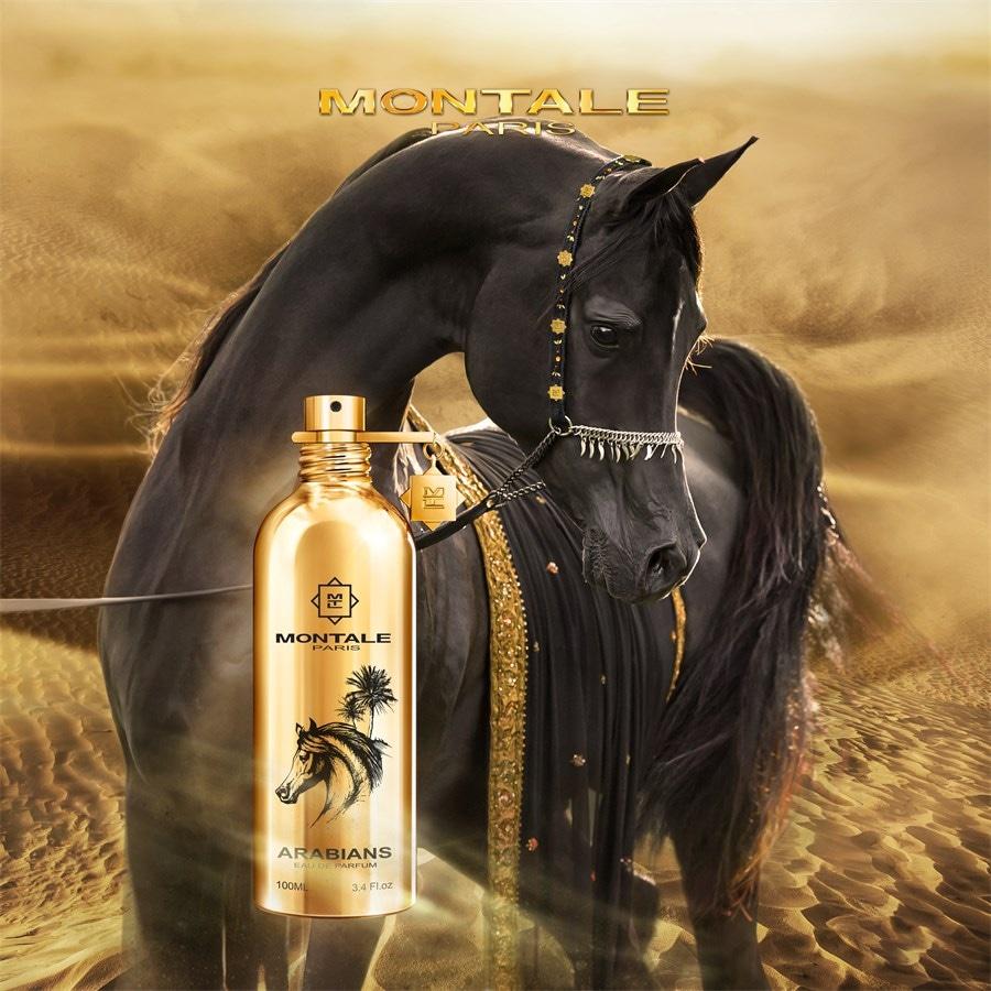 Montale Oud Arabians Eau De Parfum