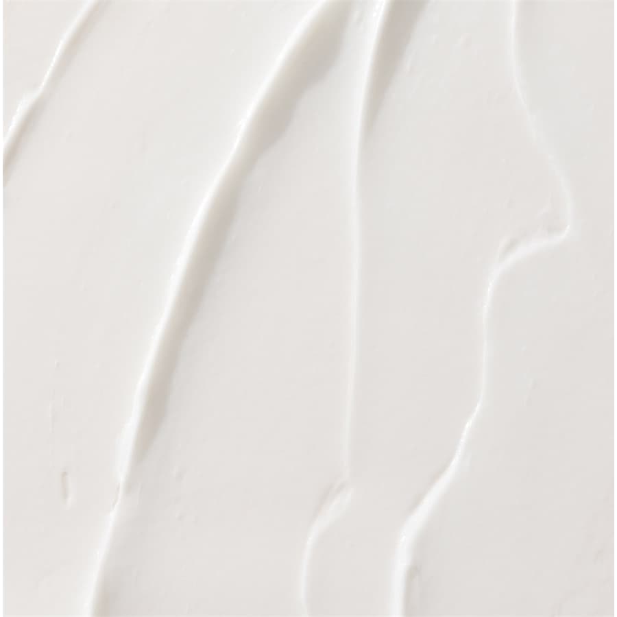 No Frizz Conditioner Von Living Proof