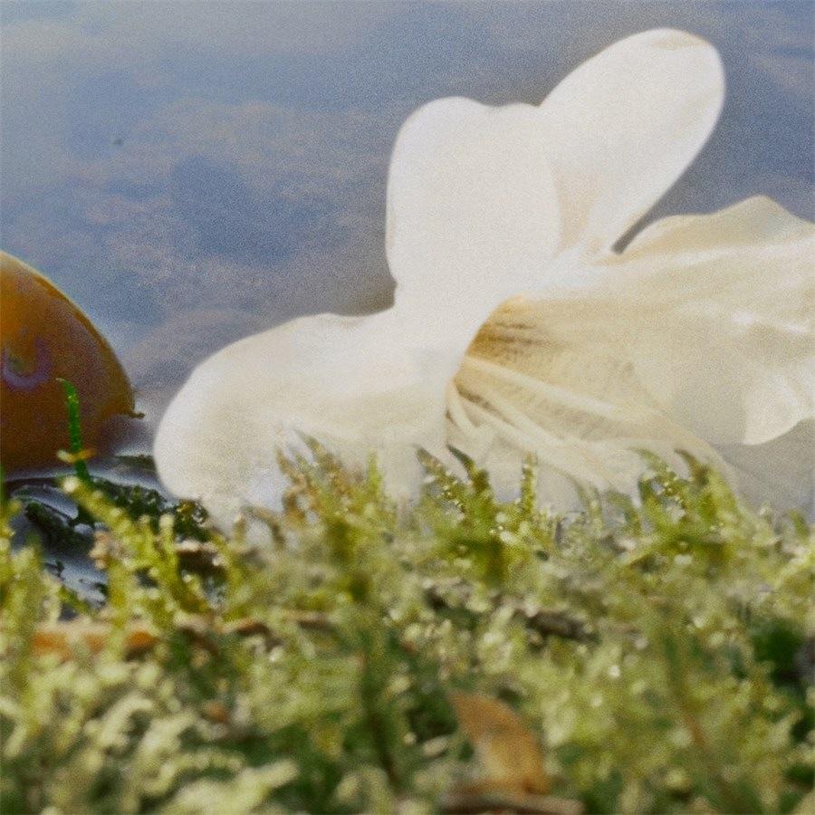 Nomade Eau De Parfum Spray Von Chloé