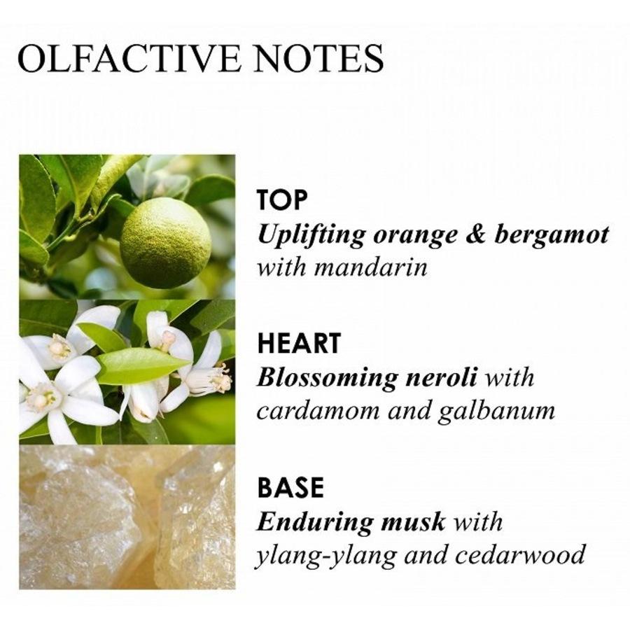 Orange & Bergamot Bath & Shower Gel Von Molton Brown