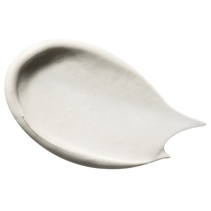 Pâte Grise Masque Purifiant Rééquilibrant Von Payot