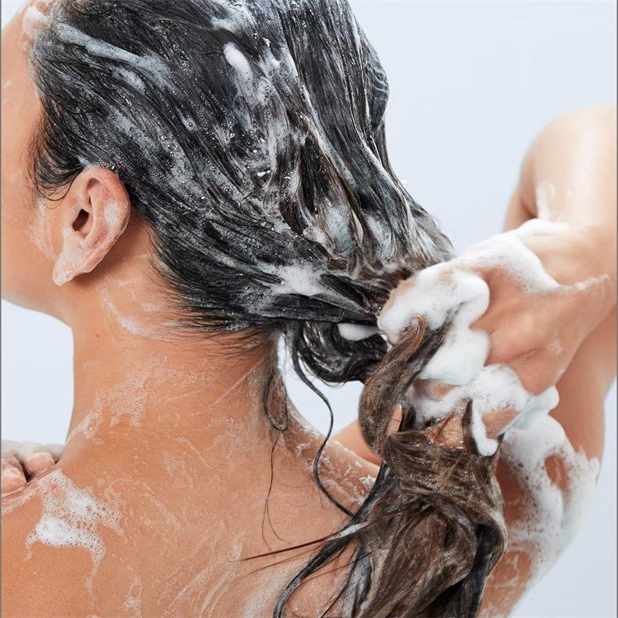 Perfect Hair Day Shampoo Von Living Proof