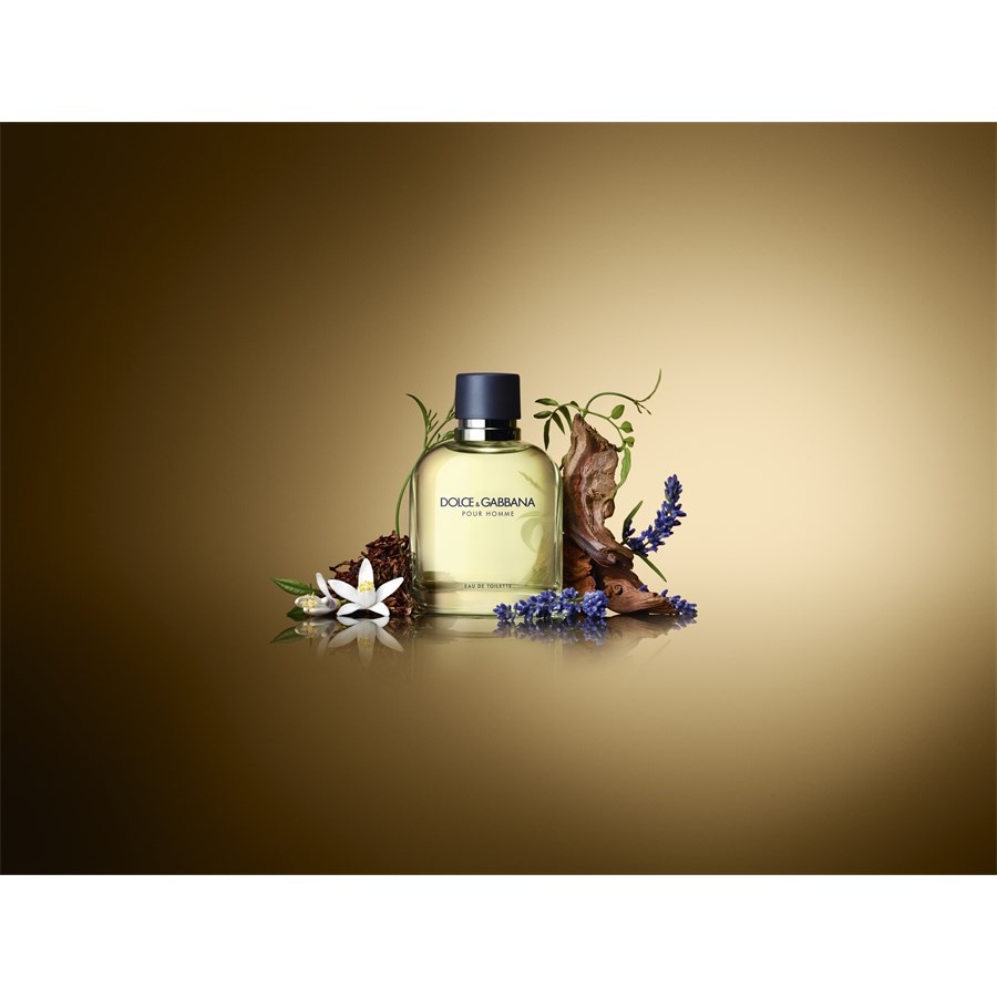 Pour Homme Eau De Toilette Spray Von Dolce&Gabbana