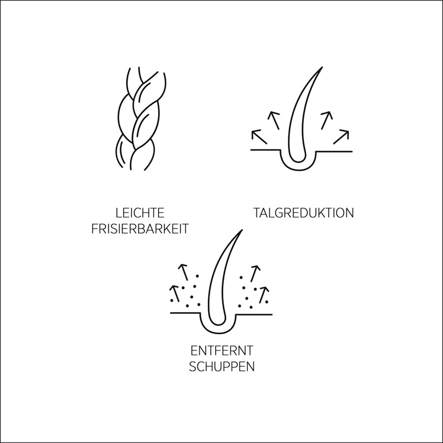 Purify Shampoo P1 Von System Professional Lipid Code