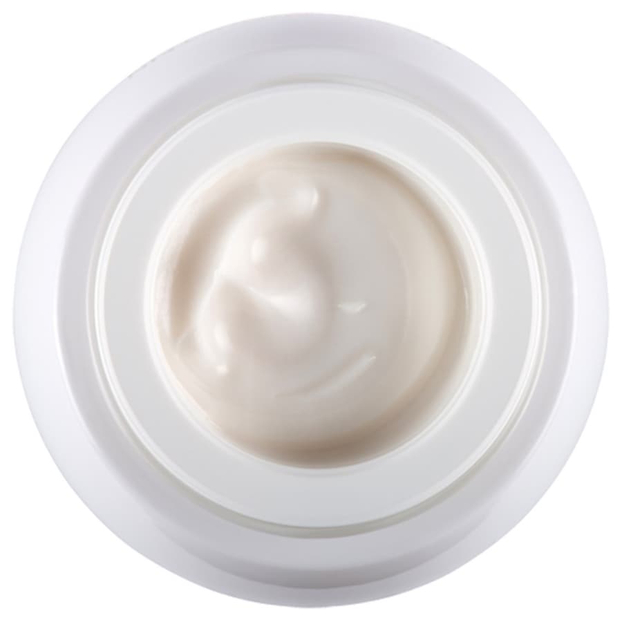 Re-Plasty Age Recovery Day Cream Von Helena Rubinstein