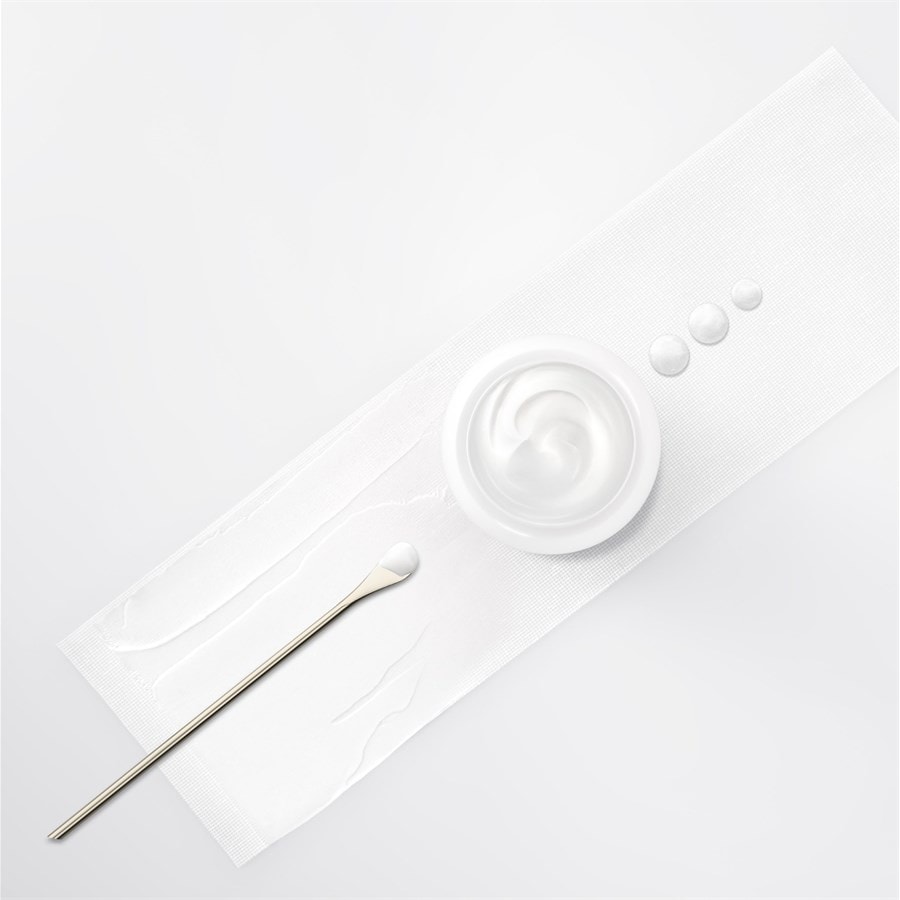 Re-Plasty Age Recovery Day Cream Von Helena Rubinstein