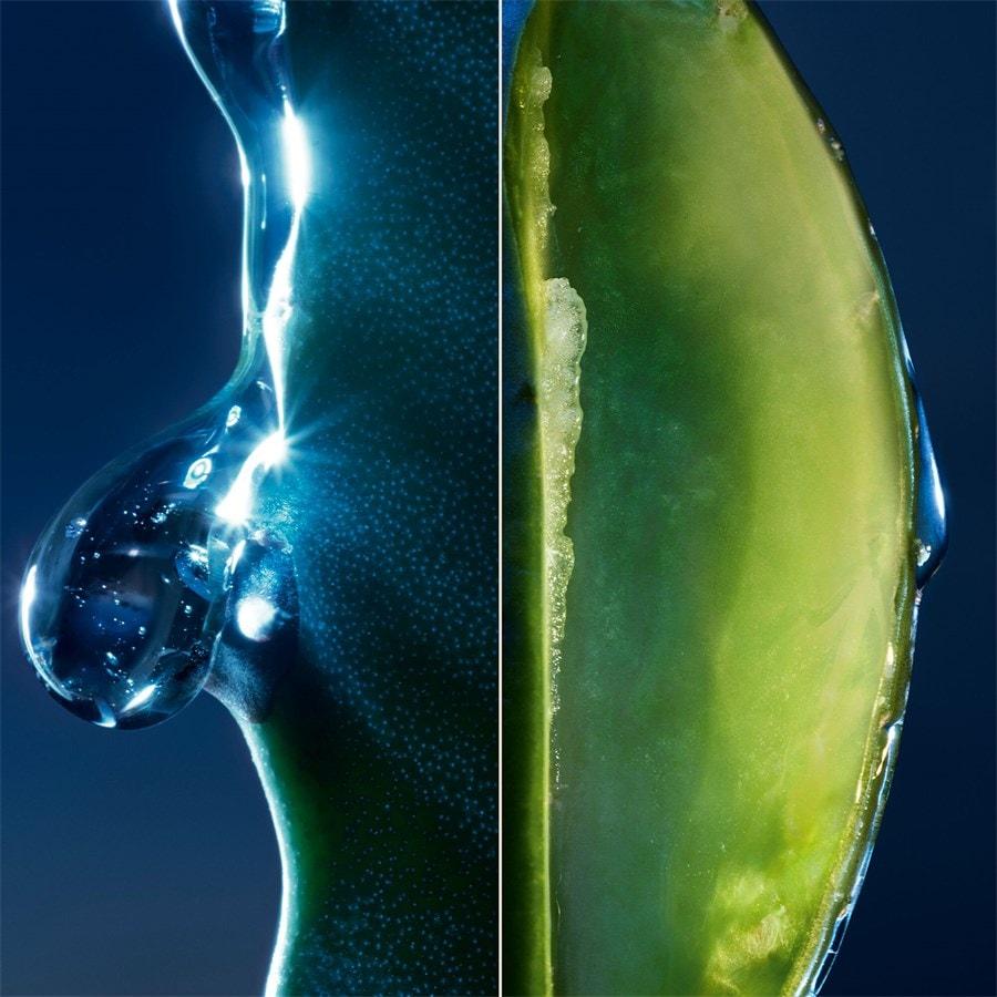 Sauvage Gesichtslotion Mit Kaktusextrakt Von DIOR