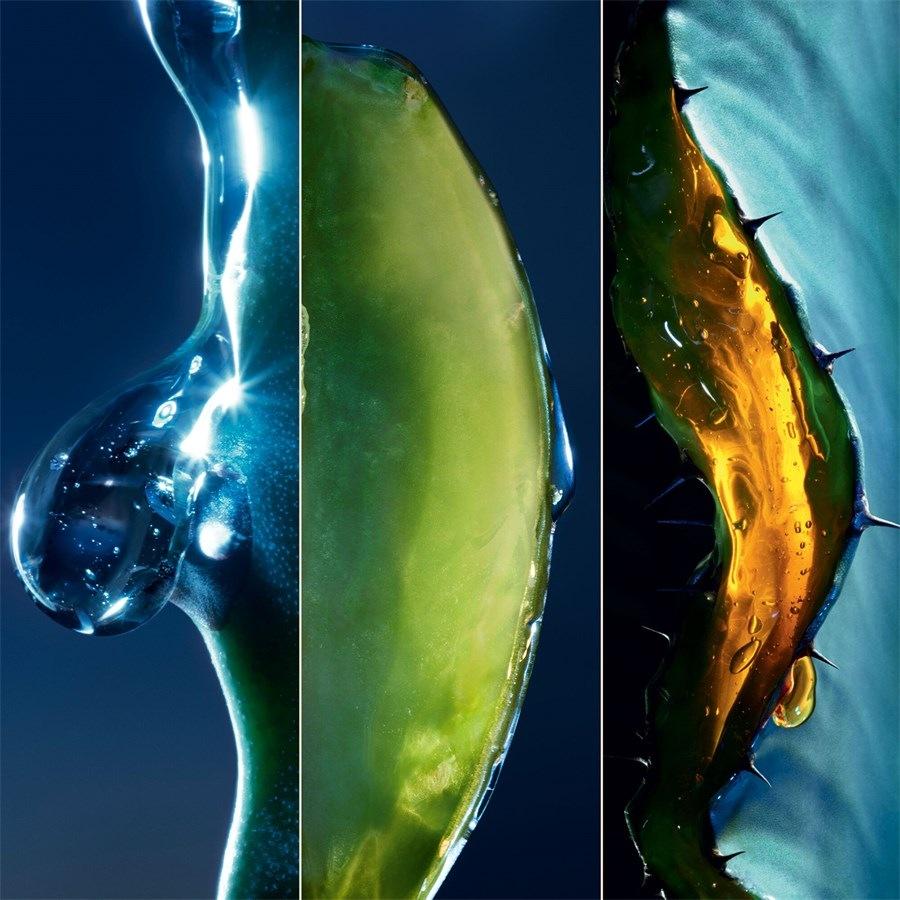 Sauvage Gesichtsserum Mit Der Kraft Des Kaktus Von DIOR