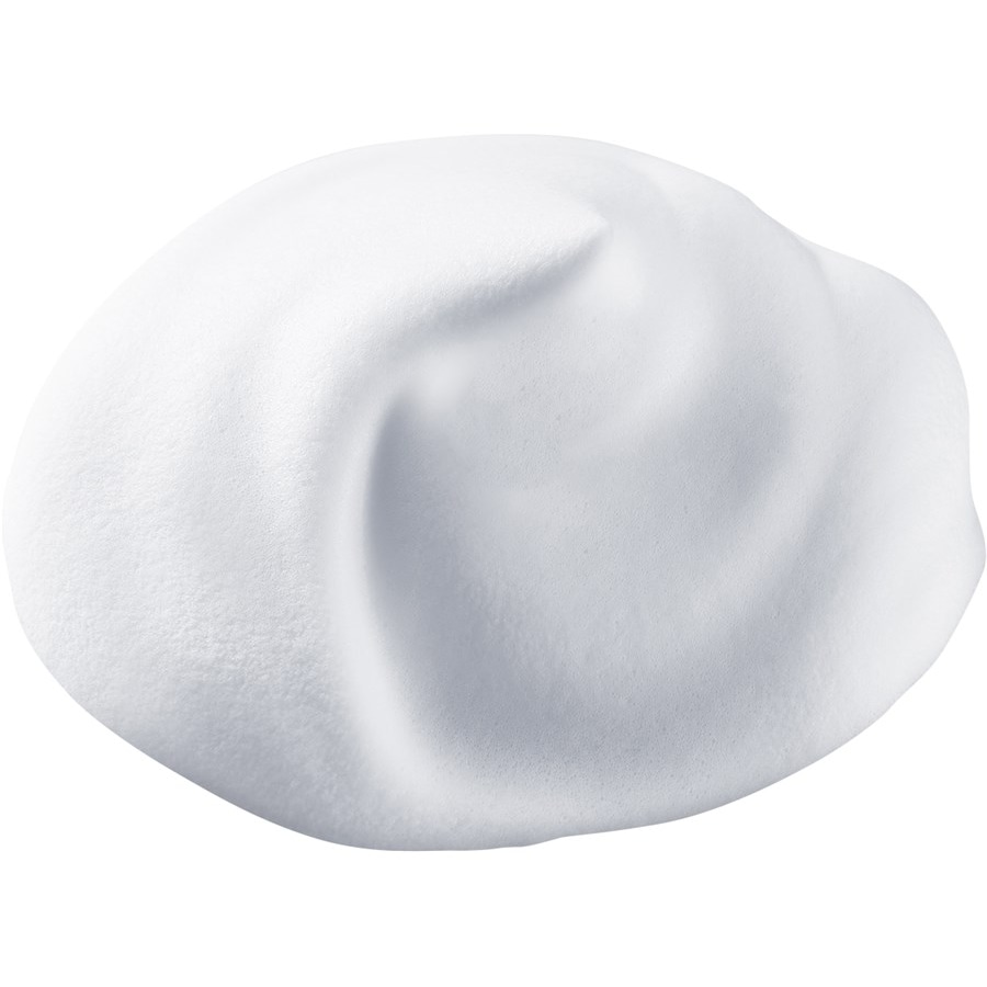 Shiseido Clarifying Cleansing Foam