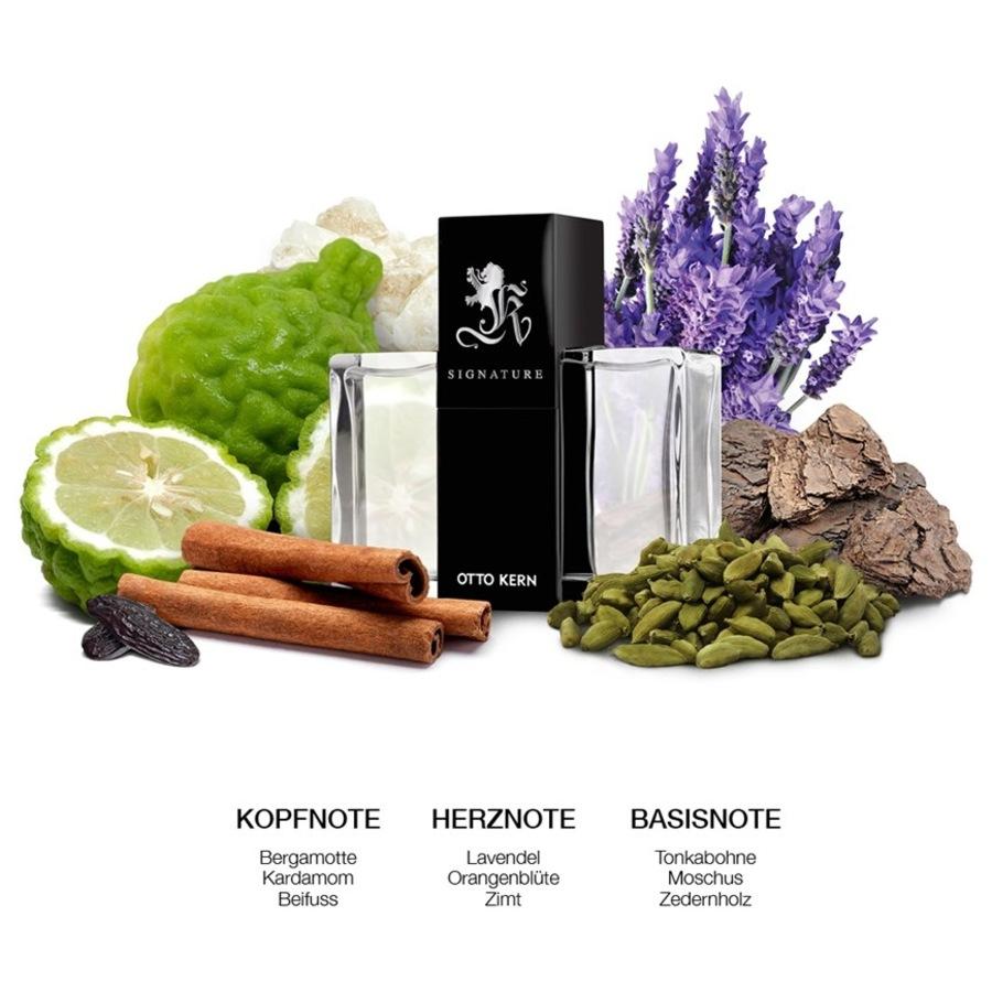 Signature Man Deodorant Stick Von Otto Kern