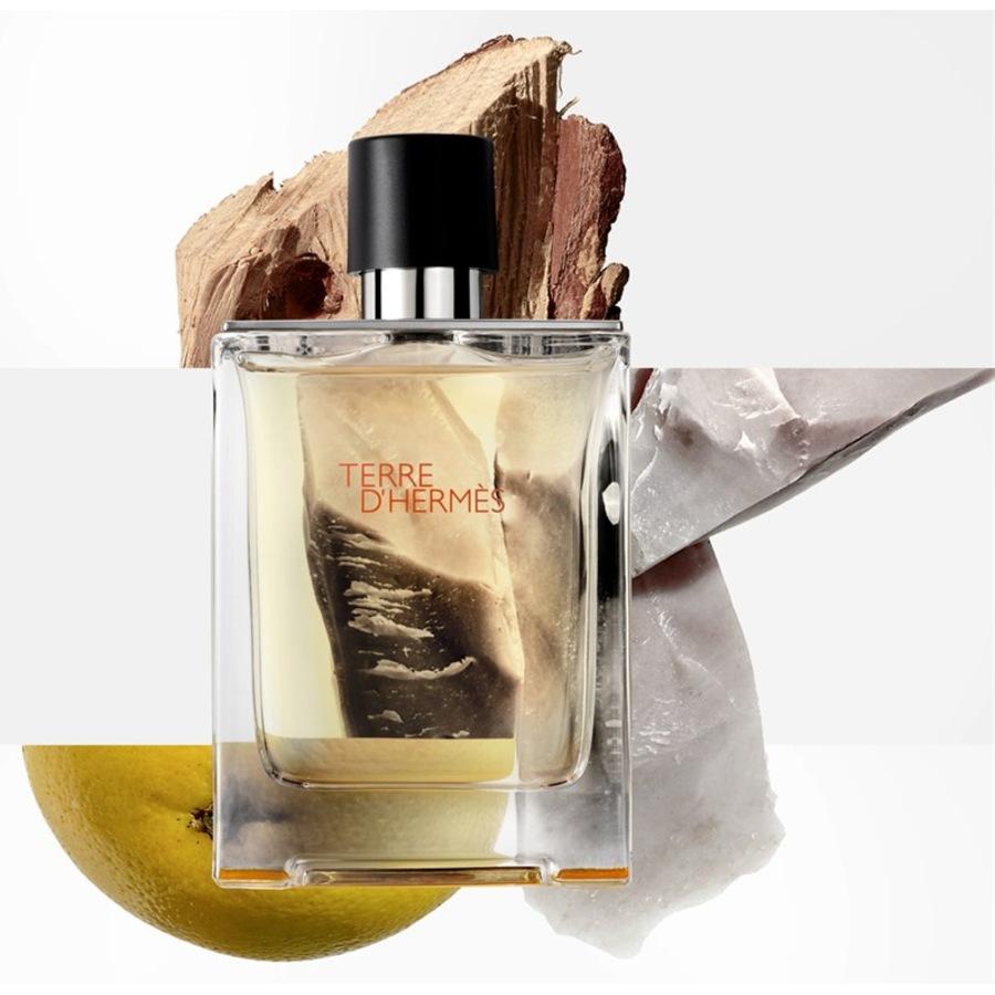 Terre D'Hermès Eau De Toilette Spray Von Hermès