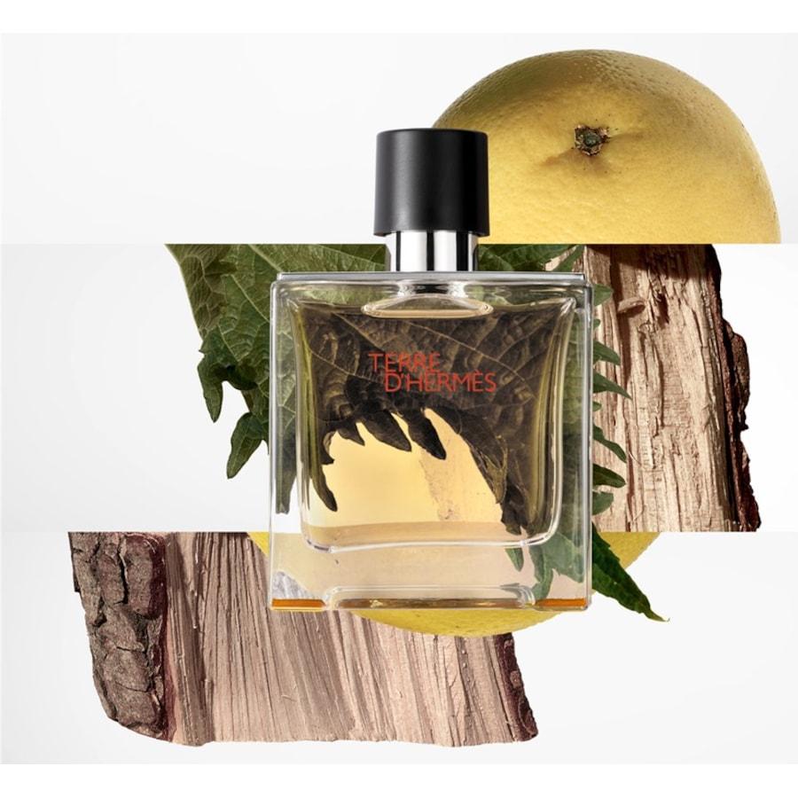Terre D'Hermès Parfum Spray Von Hermès