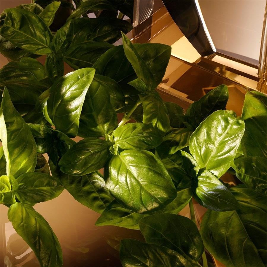 The One For Men Eau De Toilette Spray Von Dolce&Gabbana