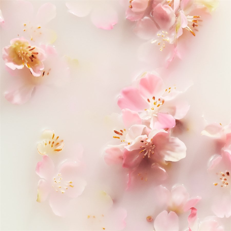 The Ritual Of Sakura Geschenkset Von RITUALS
