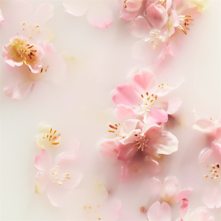 The Ritual Of Sakura Shampoo & Body Bar Von RITUALS