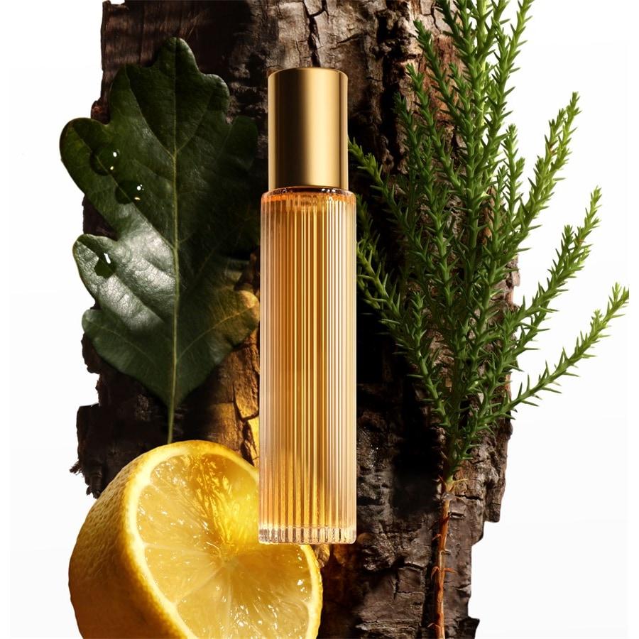 Tom Ford Signature Costa Azzurra Parfum