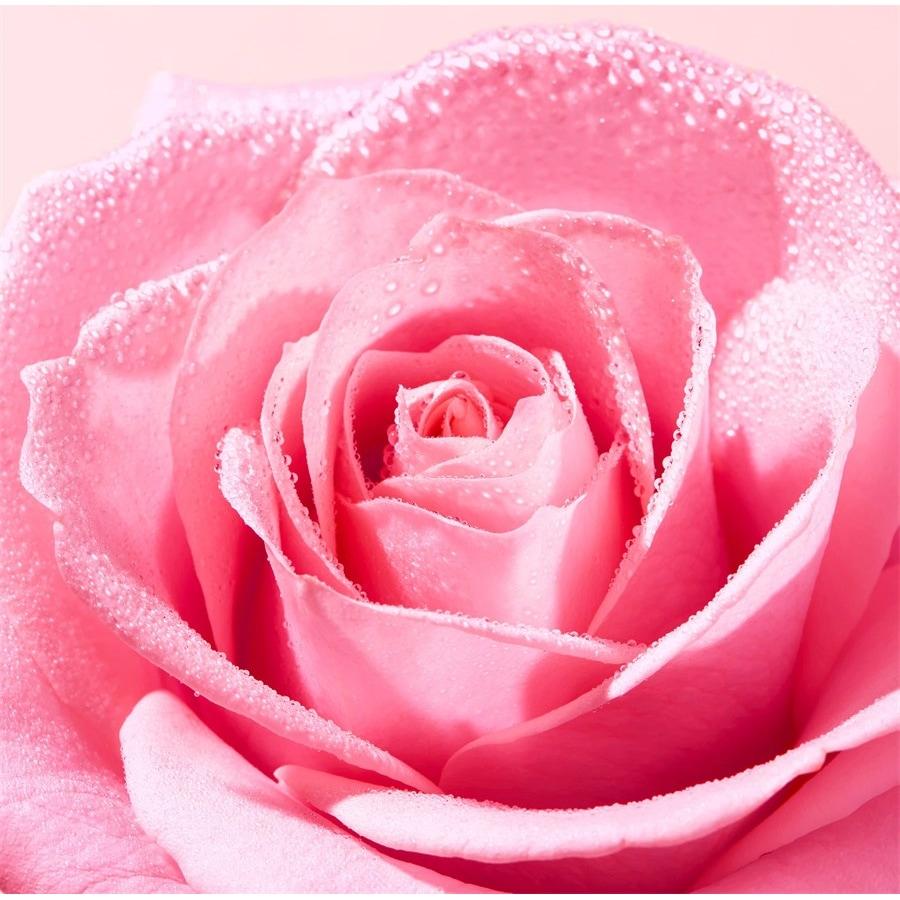 Very Rose Delicate Cleansing Oil Von Nuxe
