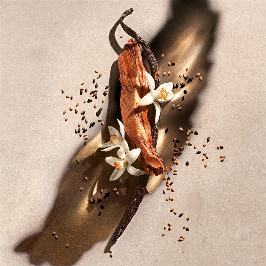 Zadig Eau De Parfum Spray Von Zadig & Voltaire