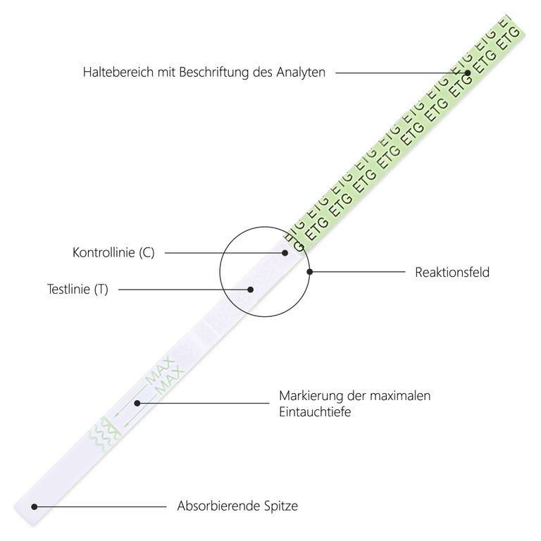 Shopapotheke 10x LuxmedIQ Alkoholtest - Ethylglucuronid (ETG) Urin Schnelltest - Cutoff 500 Ng/mL