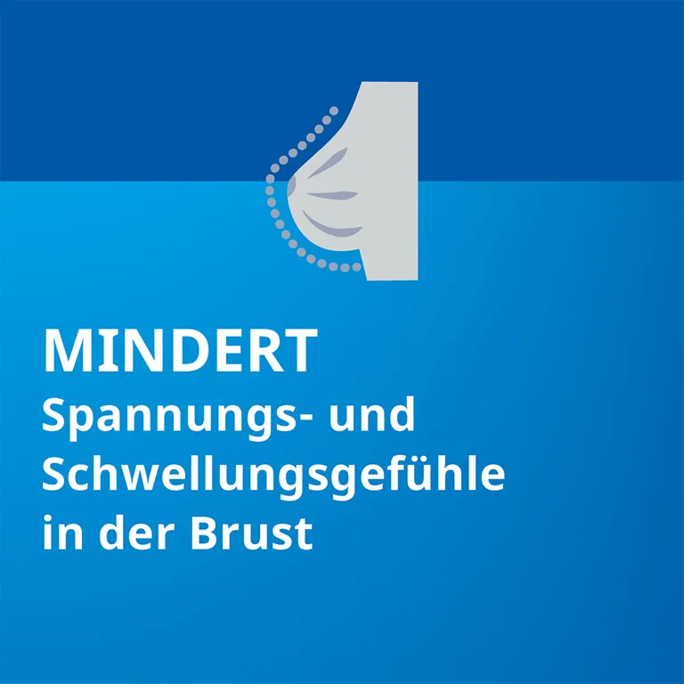 Shopapotheke Agnus Castus STADA® 4 Mg Für Frauen Mit Menstruationsbeschwerden