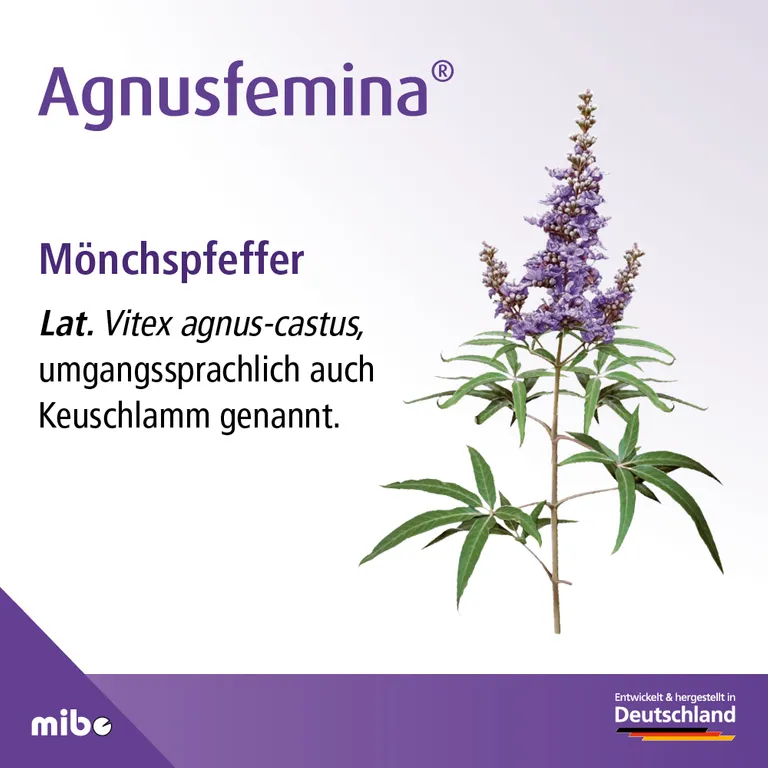 Shopapotheke Agnusfemina® – Natürliche Hilfe Bei Menstruationsbeschwerden