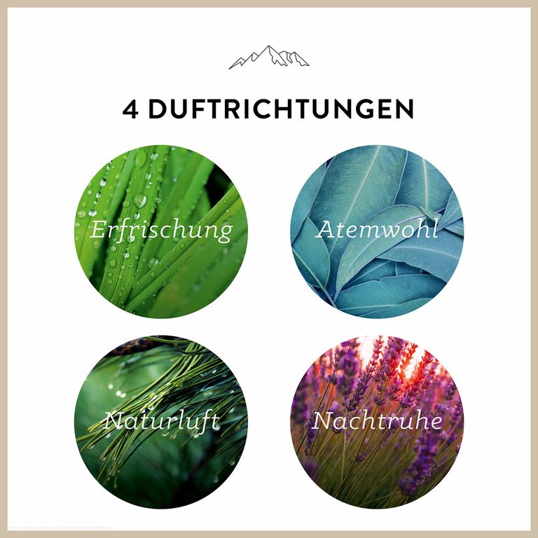 Shopapotheke AllgäuQuelle Bio Raumspray-Set 100% Bio-Duftölen Inkl. Bio-Zirben-Säckchen Raumduft Raumerfrischer