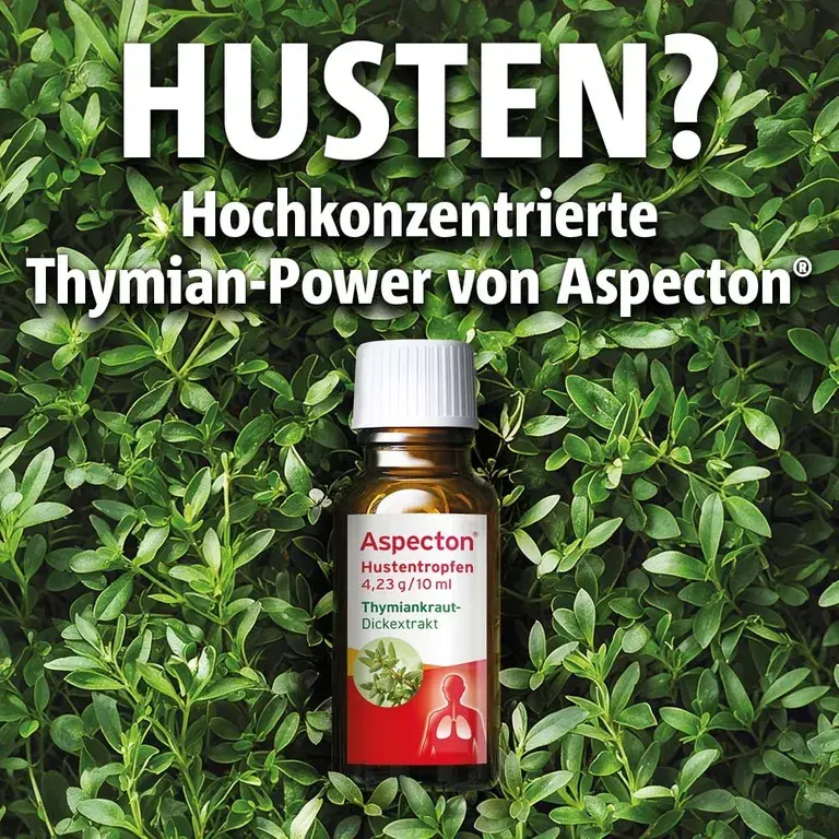 Shopapotheke Aspecton® Hustentropfen Bei Husten Und Akuter Bronchitis