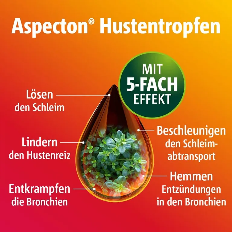 Shopapotheke Aspecton® Hustentropfen Bei Husten Und Akuter Bronchitis