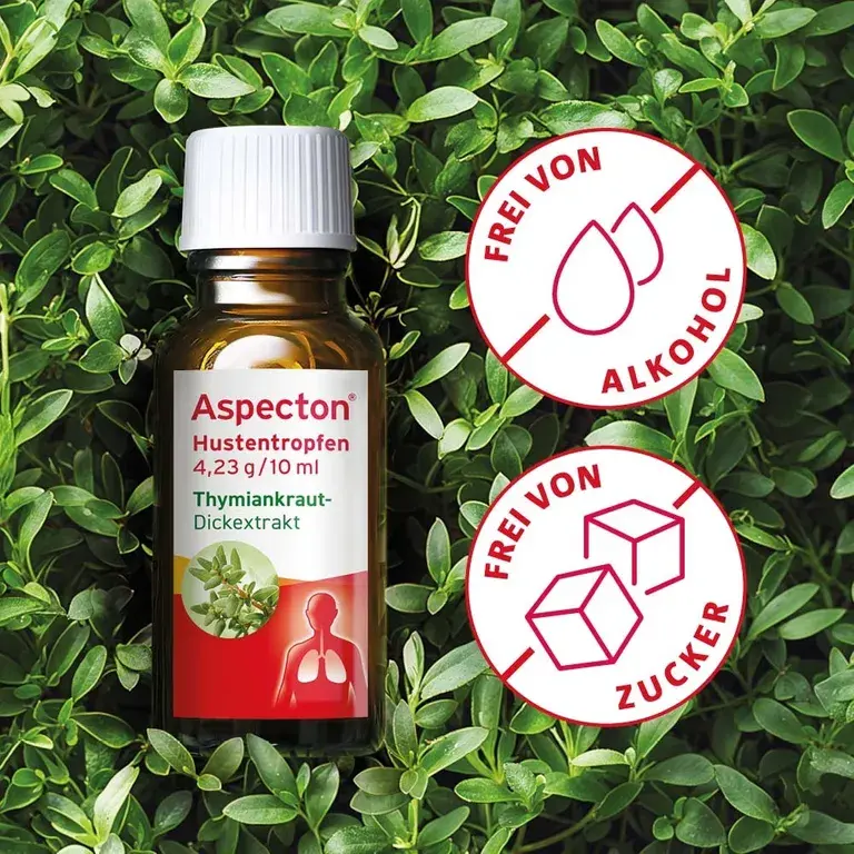 Shopapotheke Aspecton® Hustentropfen Bei Husten Und Akuter Bronchitis