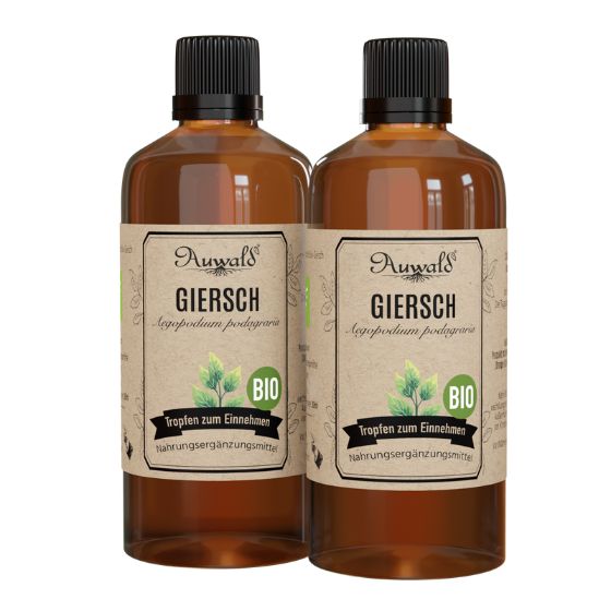 shopapotheke Auwald - Giersch Tinktur (Extrakt Tropfen Auszug)