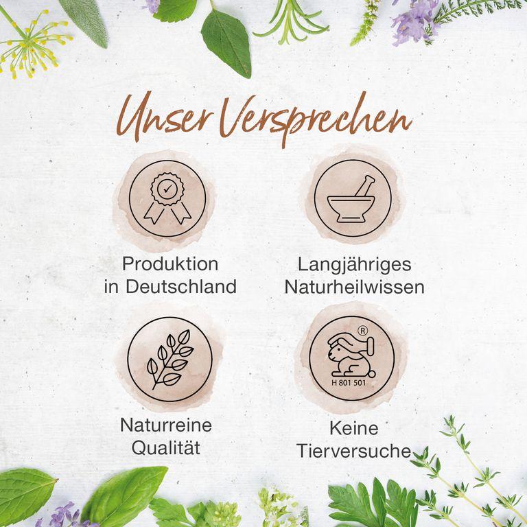 Shopapotheke Bärbel Drexel Gesunde Prostata Mit Kürbiskernen Und Sägepalmfrüchten Presslinge